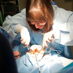Exploring the tools of the operating room, a participant performs surgery in the surgical technology lab.
