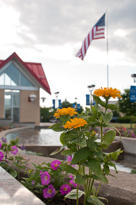 Flower beds along Hagan Way add a tad more color to the night's red, white and blue.