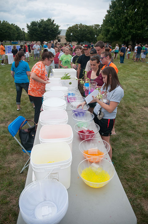Colorful and water-absorbent gel beads, arrayed during Campus Fest, provide a decorative and functional medium in which students can grow their 