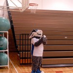 The college mascot applauds its fellow Wildcats.