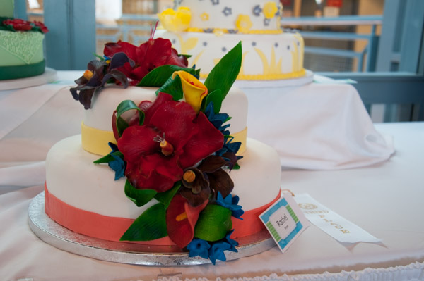A cake by Rachel C. Bryant, of Wellsboro, earns third place in the Cakes and Decorations course.