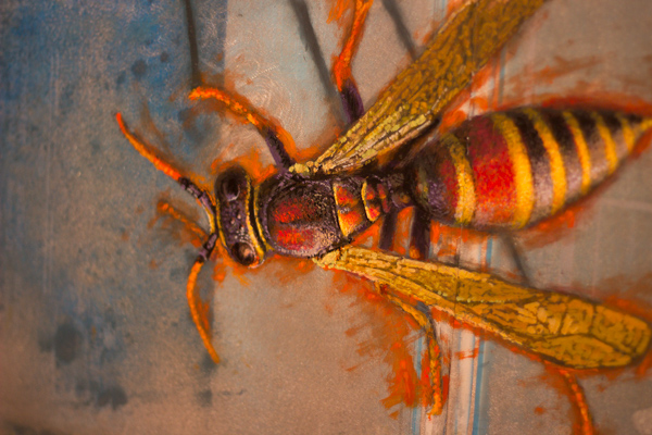 The detail of a wasp, also among the earlier pieces 