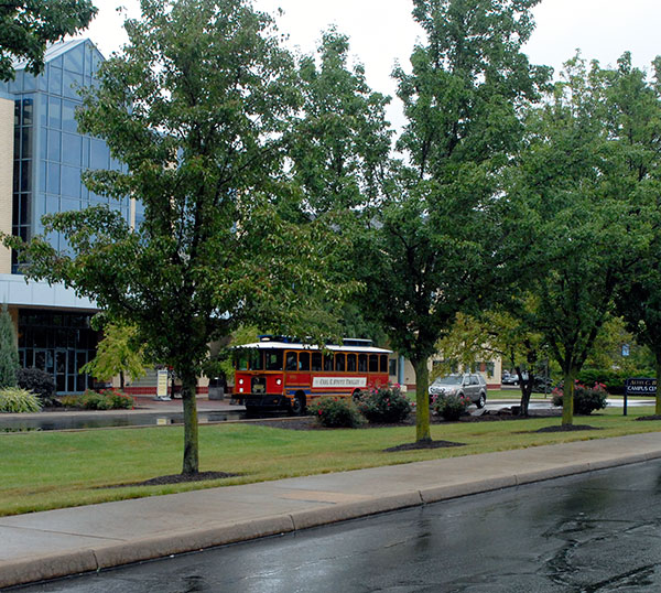 Framed by trees and fronted by rain-soaked Park Street, River Valley Transit's Carl E. Stotz Trolley takes another load of campus guests on a 45-minute tour of Williamsport's Historic District and downtown.