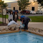 Infusing the Veterans' Fountain with colorful Wildcat Pride ...