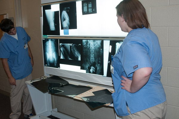 Radiography students introduce a group to their field by first showing them sample X-rays.