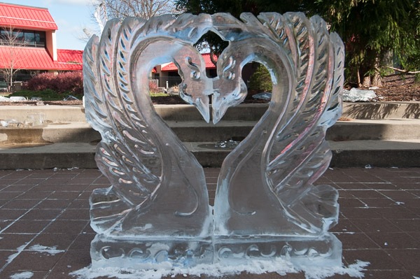 A pair of swans displays wedding-worthy detail.