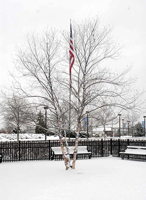 The wintry white outside Madigan Library frames a dash of year-round color: the red, white and blue near the campus entrance.