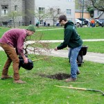 Redding (left) and Rousseau prepare a place for a threadleaf Japanese maple tree on the park's West Fourth Street side. In the background, Bower (in orange sweatshirt) and Bob Esposito, president of the Way’s Garden Commission, brainstorm other projects for students.