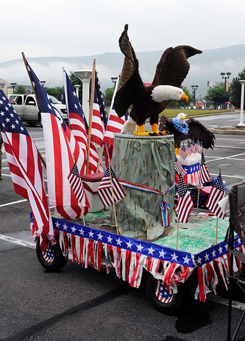 Stars, stripes and majestic bald eagles adorn a themed entry from the Michael Counsil family.