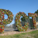 Penn College Proud? Say it with flowers!