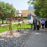 With campus beauty all around, including the "Student Bodies" art installation spanning the campus mall, the group takes a shady stroll north from the ATHS.