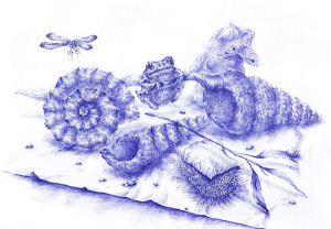 Joo Lee Kang, “Still Life with Shells #4,” ballpoint pen on paper, 19 x 25 inches