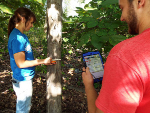 Penn College forest technology majors Alexa L. Labesky, of Warren, and Brett A. Forney, of Millersburg, use an enhanced iPad for data collection in the woodland laboratory at the college’s Schneebeli Earth Science Center. (Photo by Pamela A. Mix, secretary to the ESC executive director and assistant dean of transportation and natural resources technologies)