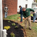 Spreading mulch for a professional, well-tended look