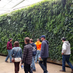 At 14 feet high and 300 feet long, Longwood Gardens' famous interior Green Wall is the largest in North America.