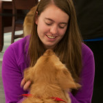 Students get acquainted with Kenzie, a golden retriever mix ...