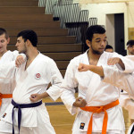 Martial artists impressively practice their discipline in this November photo.