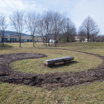 Campus trees stand watch over the space where "These Trees" stood. The footprint of the Fibonacci-inspired layout is still visible, but will be replanted with grass. The installation’s bench will remain nearby for quiet contemplation. 