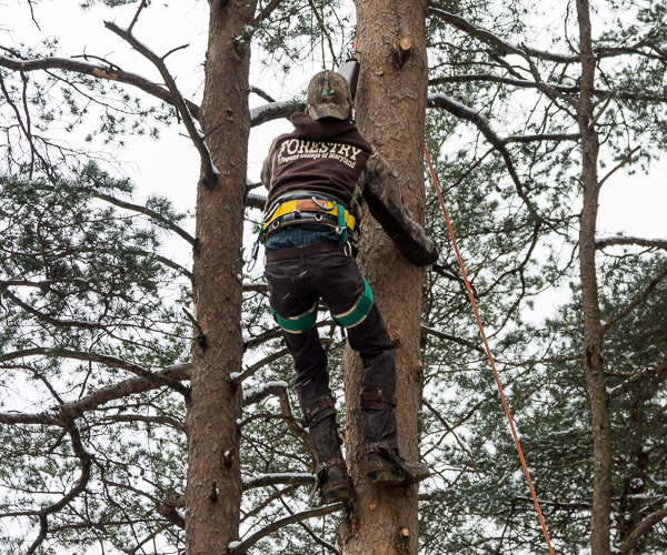 ... as does this intrepid challenger.