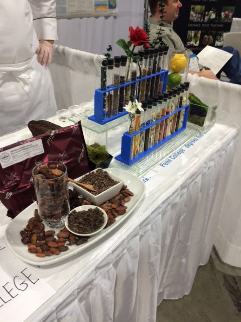 A chocolate display features nanotechnology.