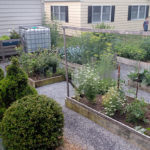 A vegetable garden, rain barrel and pizza oven add to backyard haven.
