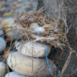 When Clint J. Walker and Joshua K. Kryder found this nest that had fallen near their project site on the second day of work, they incorporated it into their design. Walker is an information technology sciences: gaming and simulation student; Kryder majors in plastics and polymer engineering technology.
