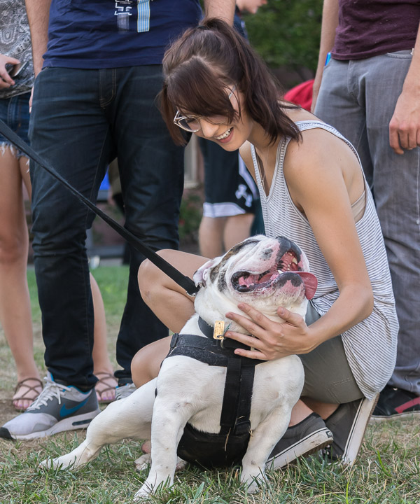 A student shares a touching moment with Pixel, a bulldog owned by Zack T. Wooding, portal designer/developer.