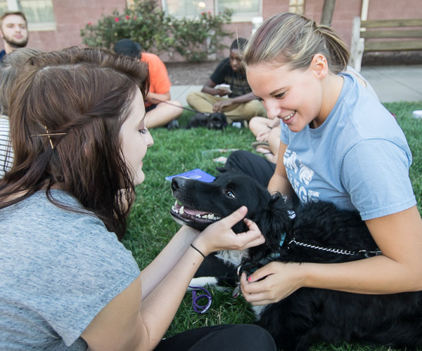 ... students embrace their home away from home, with a little four-legged help.