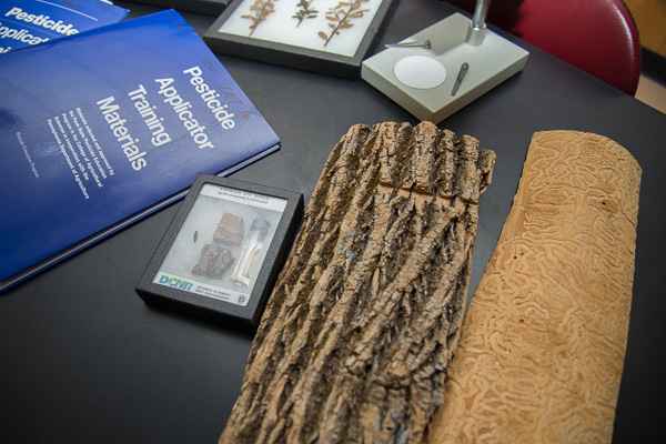 A display in the ESC botany lab focuses on invasive species (and remedies for them).