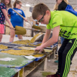 A child smooths yellow-dyed concrete to cast a stepping stone.