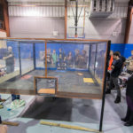 No bad seats for THIS sporting event!