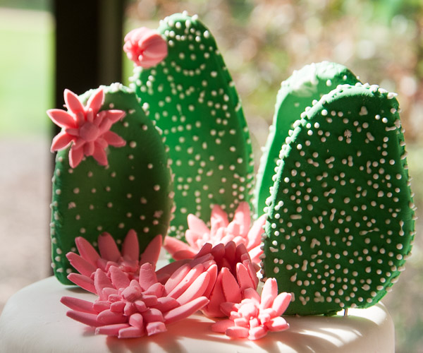 A prickly plant makes a unique topper on Maria E. Berrios’ cake. Berrios is from Bethlehem.