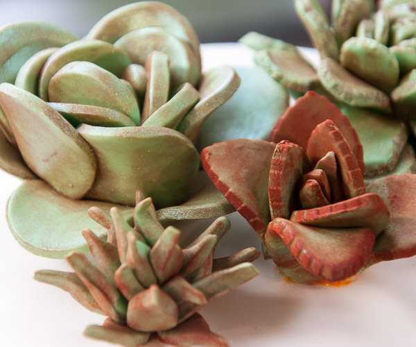A succulent garden “grows” atop Linea M. Kelley’s cake. Kelley is from Turtlepoint.