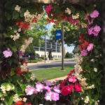 The SASC, in vivid floral focus