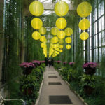 Every inch, a showplace