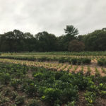 ... with attending an eye-opening October conference in Michigan.