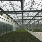 ... got backstage tours of large-scale nursery operations ...