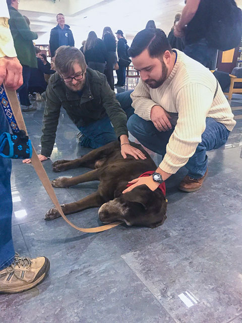 Although notoriously named, this 