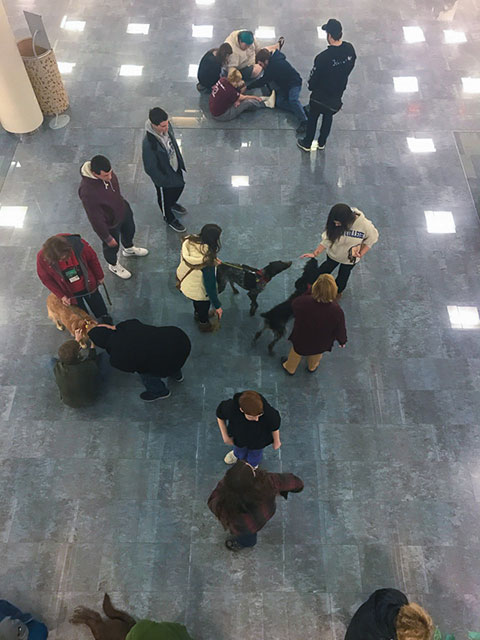 Dog-tired from a long semester, students find a fitting cure in a curious place.