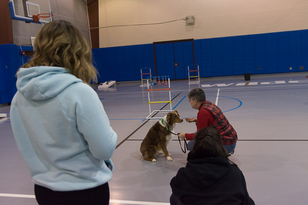 Students watch Bristol do tricks for treats, lovingly doled out by Shelly Karschner.
