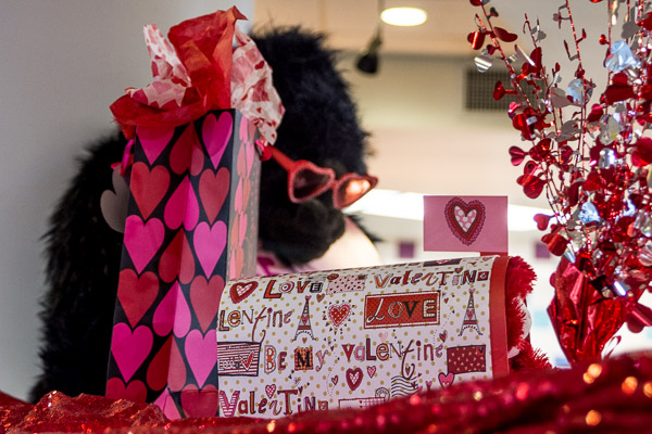 And who wouldn't want a valentine from this hirsute suitor?