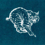 The earliest images available in the Penn College archives show an appropriately wild version, modeled after the bobcat common to the woods of northcentral Pennsylvania.