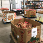 Loose potatoes were bagged and sorted into bins for distribution.