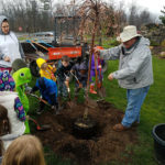 Young hands help Bower plant a tree ...
