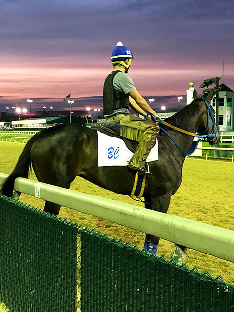 What a way to start the day. Both horse and jockey pause during an early-morning workout to savor the pending sunrise. 