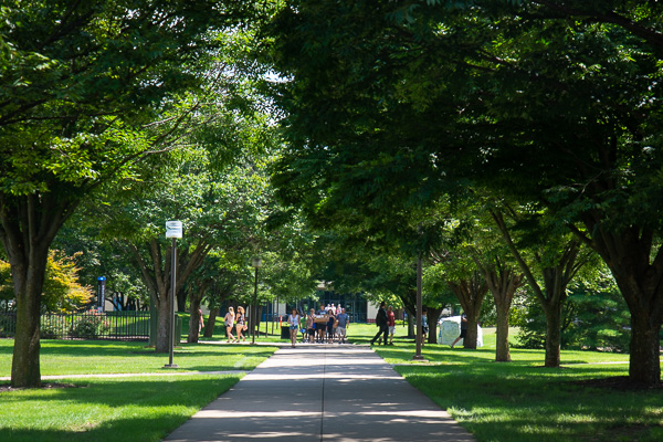 The campus mall bustles with new energy ... and bursts with extreme green as a result of recent rains. 