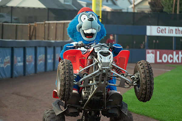 Boomer, the Crosscutters' No. 1 fan, gives the crowd a wheelie welcome.
