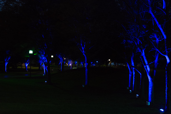 Illuminated in enticing blue, these trees stand out – just like the students, families and graduates who reveled in their Penn College connection all weekend long.