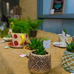 Terrariums, dish gardens and airplants were among the offerings from the green thumb of Dining Services' Vicki K. Killian.