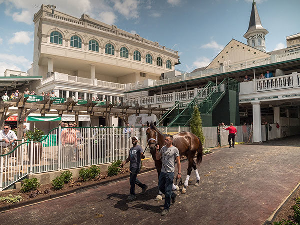 Horses parade to the paddock at Churchill Downs, in Louisville, Ky., in May. Pennsylvania College of Technology hospitality students will again work alongside celebrity chefs in the Downs’ premier venues during the Breeders’ Cup Championships, Nov. 2-3.